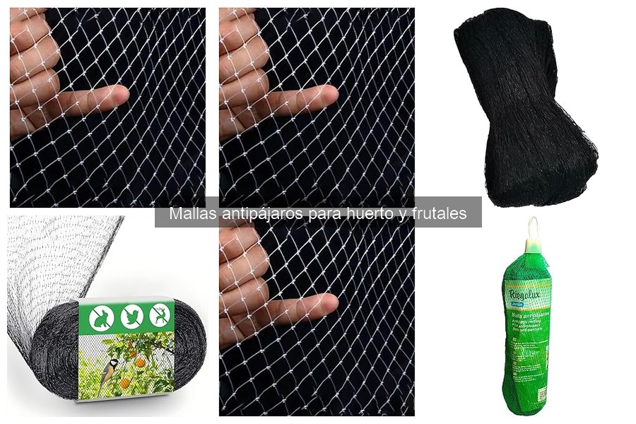 Mejores mallas antipájaros para frutales: fresas y manzanos