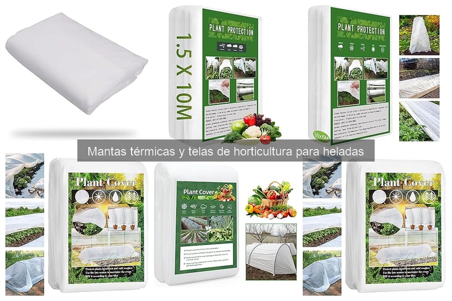 Mejores mantas térmicas para diferentes climas y heladas