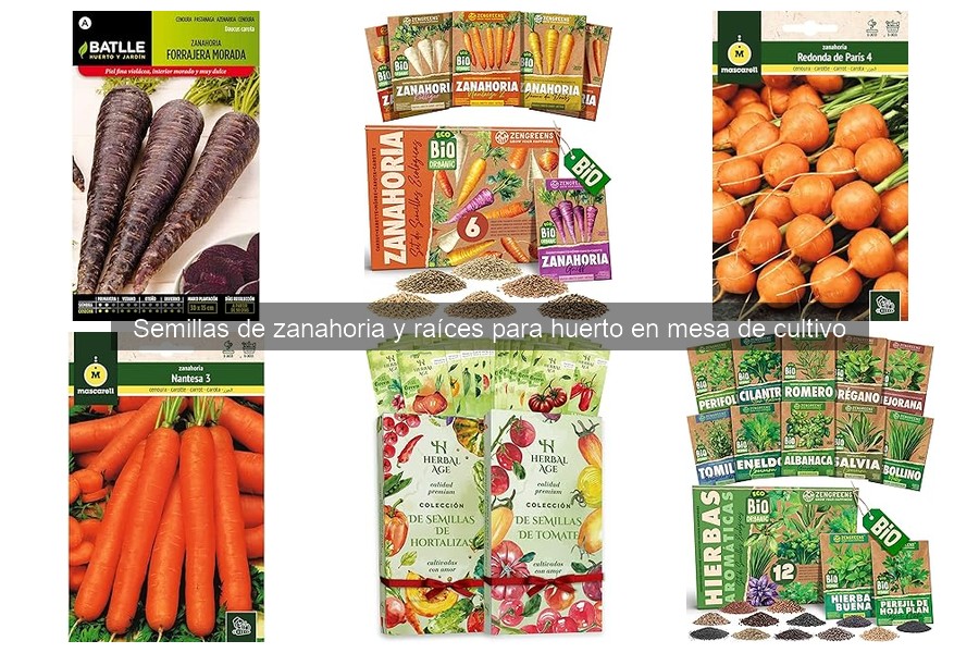 Mejores marcas de semillas de zanahoria para cultivar en casa