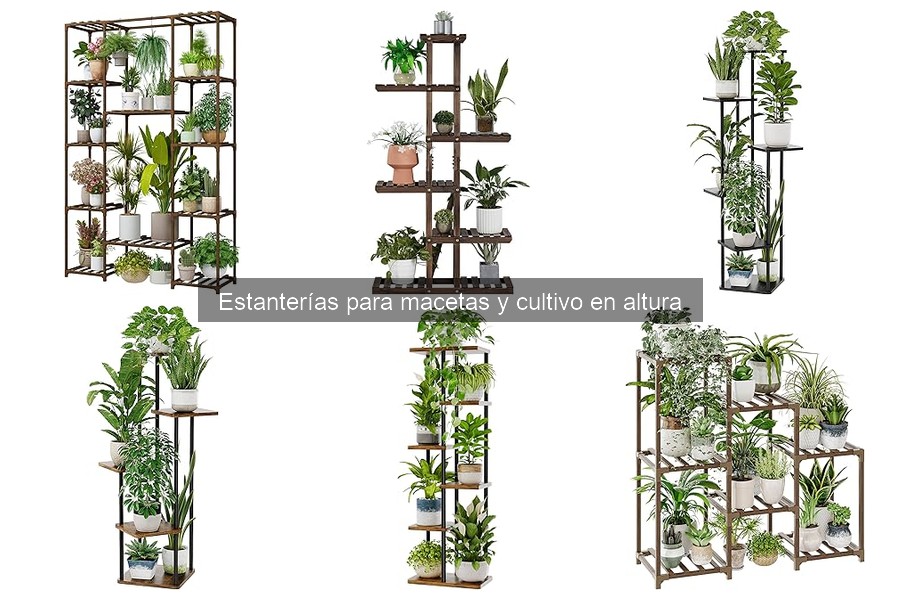 Mejores ofertas en estanterías para macetas para tu hogar