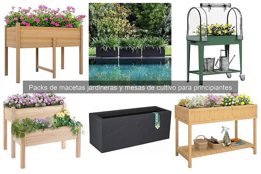 Mejores packs de macetas para principiantes en jardinería