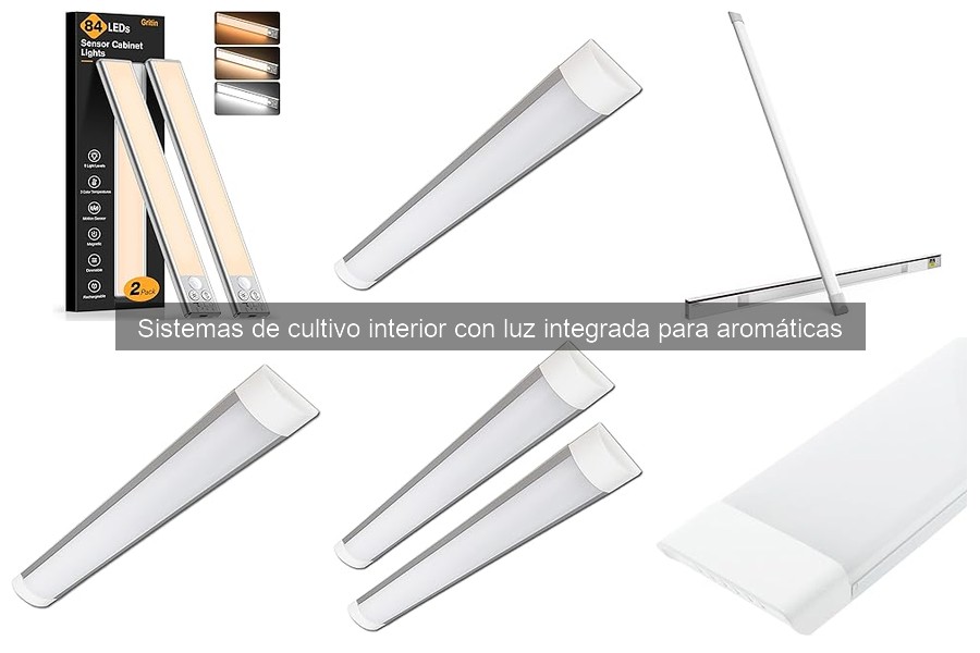 Mejores plantas aromáticas para cultivo con luz integrada