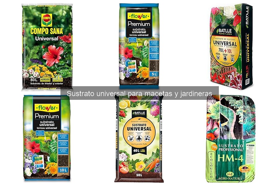 Mejores plantas para cultivar en sustrato universal