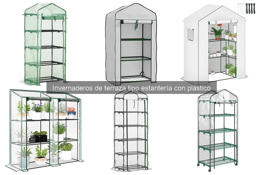 Mejores plantas para invernaderos de terraza tipo estantería