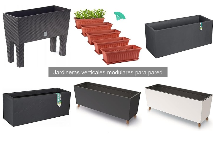 Mejores plantas para jardineras verticales modulares
