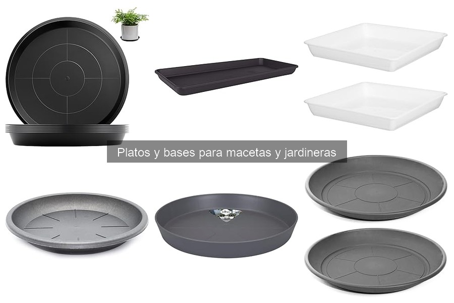 Mejores platos para macetas según el tipo de planta