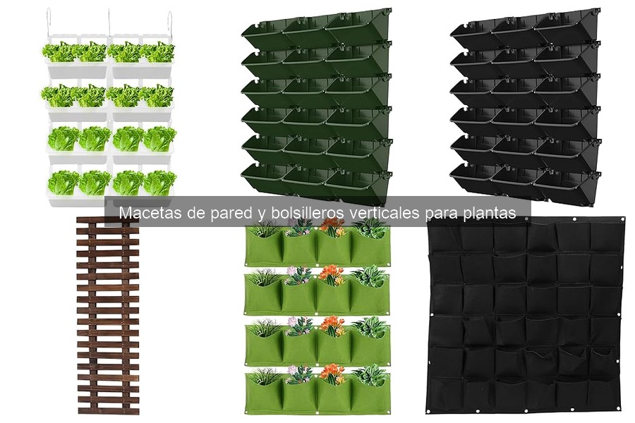 Mejores prácticas para mantener plantas en bolsilleros verticales