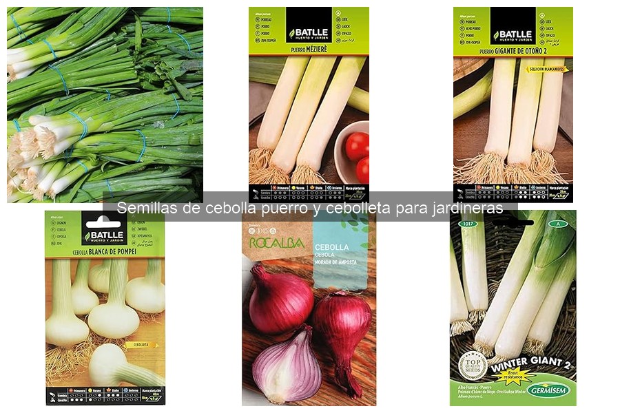 Mejores precios y dónde comprar semillas de cebolla y puerro