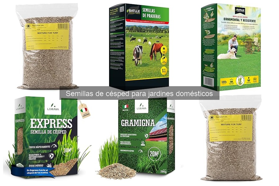 Mejores semillas de césped para jardines soleados y sombreados