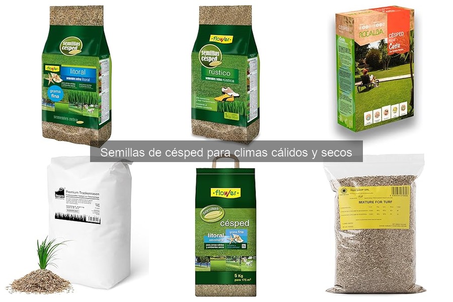 Mejores semillas de césped para suelos arenosos en climas cálidos