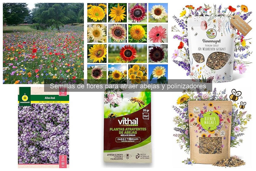 Mejores semillas de flores para atraer polinizadores en jardines pequeños