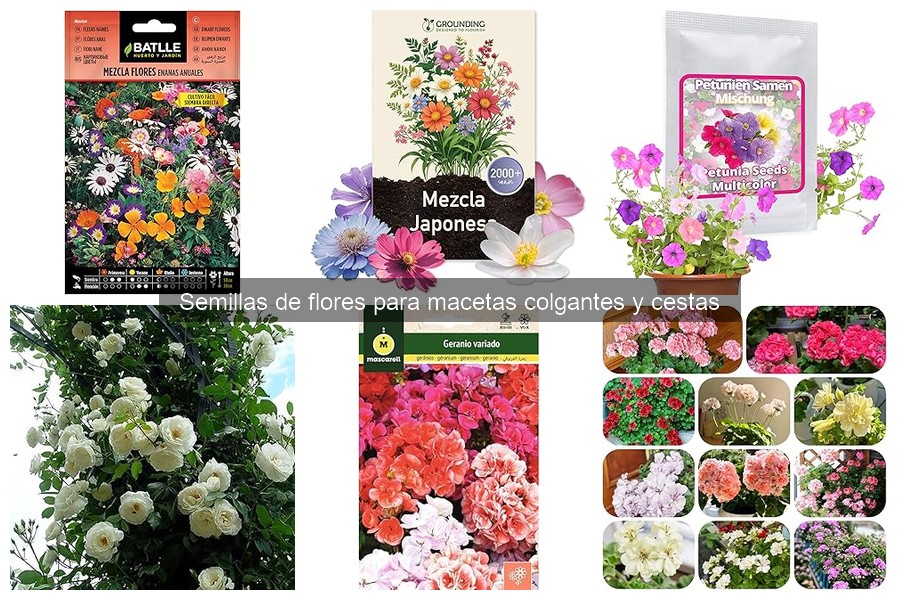 Mejores semillas de flores para cestas colgantes