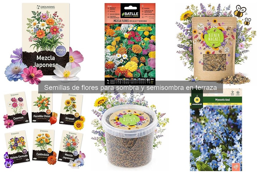 Mejores Semillas de Flores para Sombra y Semisombra