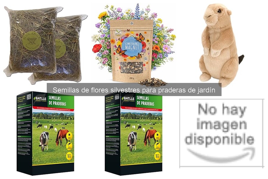 Mejores semillas de flores silvestres para principiantes