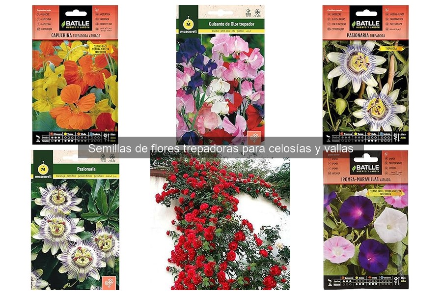 Mejores Semillas de Flores Trepadoras para Balcones