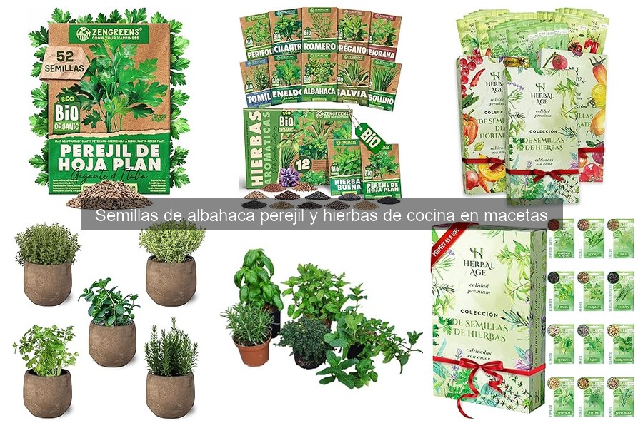 Mejores Semillas de Hierbas Aromáticas para Cultivar en Casa