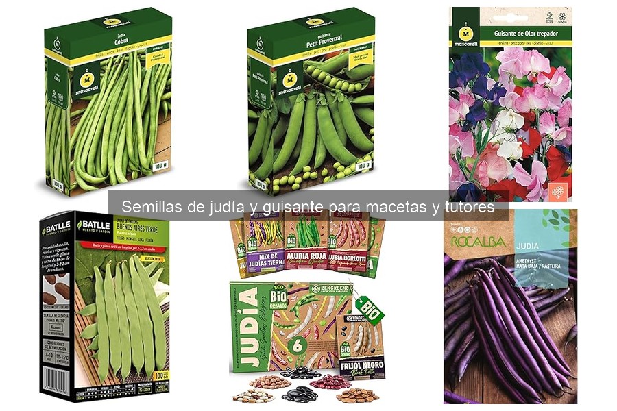 Mejores Semillas de Judía y Guisante para Cultivo en Interiores