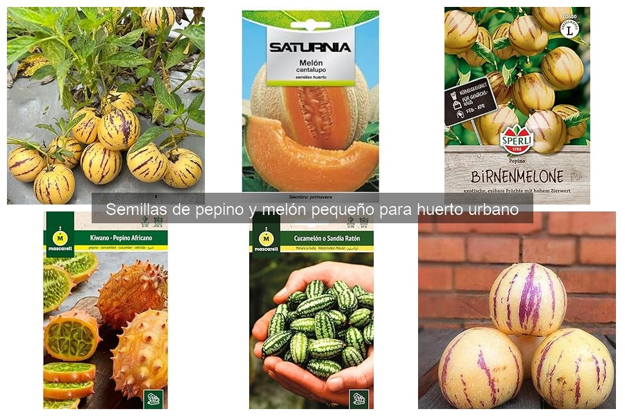 Mejores semillas de pepino y melón pequeño para huertos urbanos