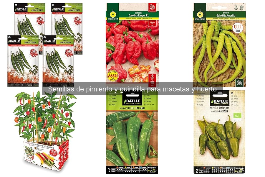 Mejores semillas de pimiento para cultivo en interiores