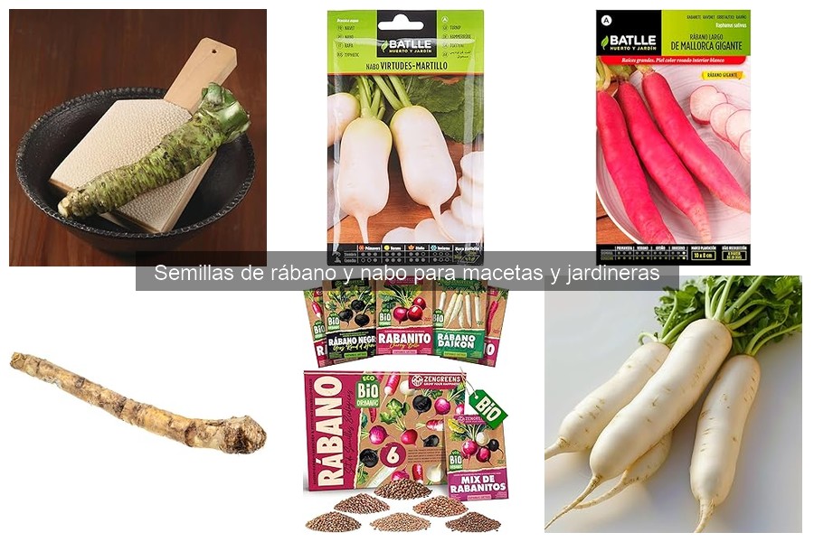 Mejores semillas de rábano para cultivar en macetas