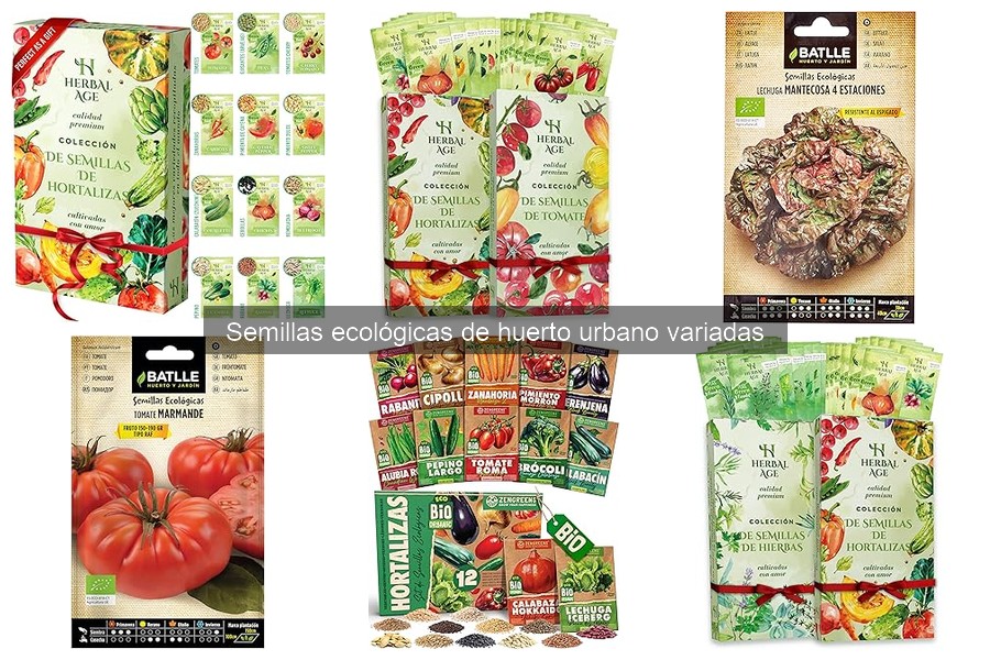 Mejores semillas ecológicas para cultivar en terraza