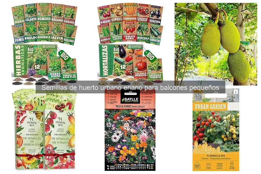 Mejores semillas para balcones pequeños: guía de cultivo
