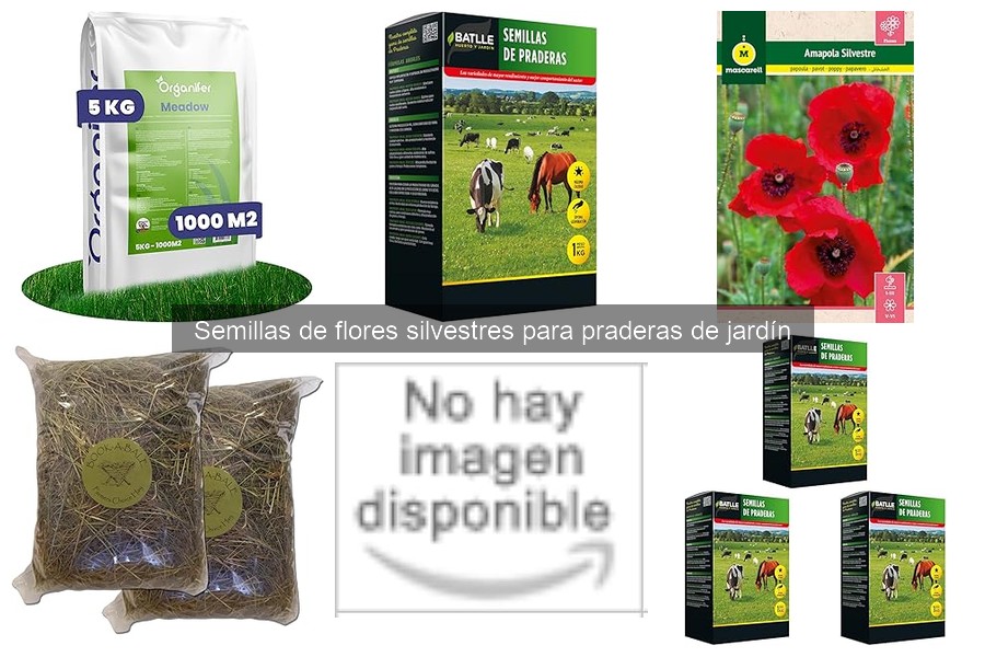 Mejores sitios para comprar semillas de flores silvestres online