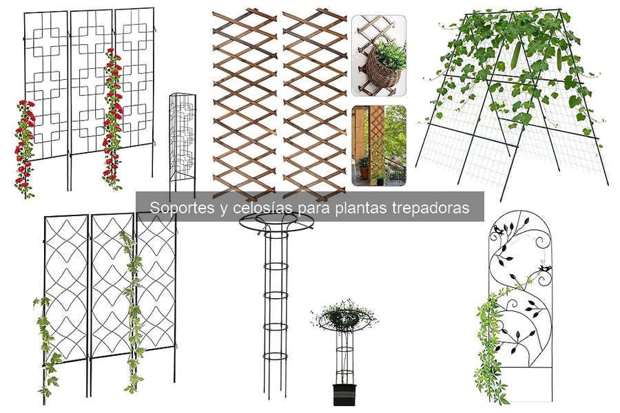 Mejores soportes para plantas trepadoras en terrazas