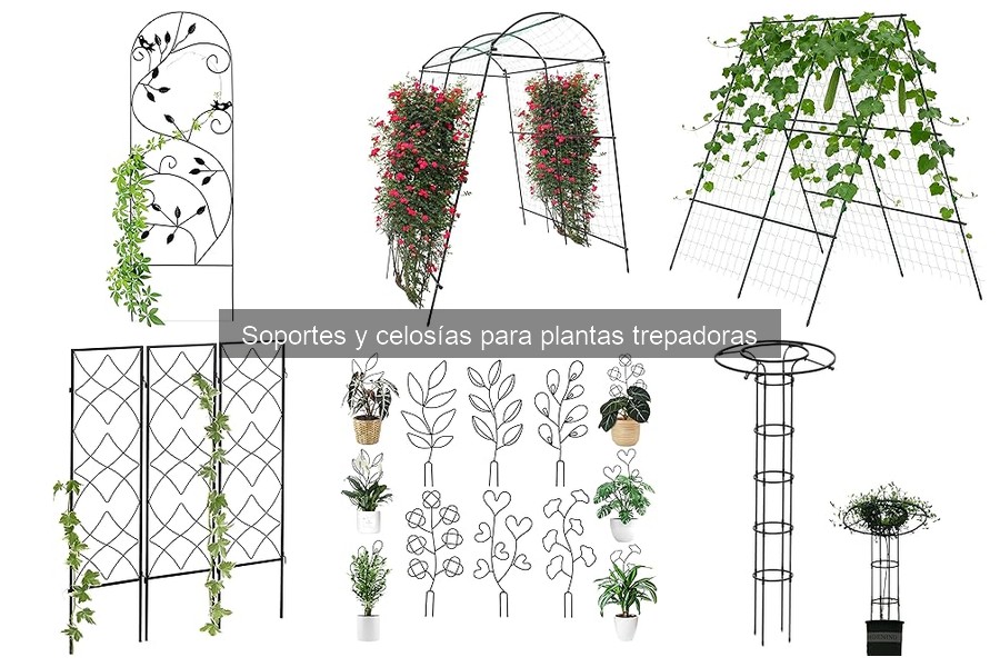 Mejores soportes para plantas trepadoras según tipo