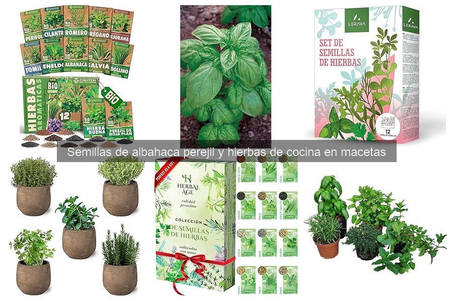 Mejores sustratos para cultivar semillas de hierbas