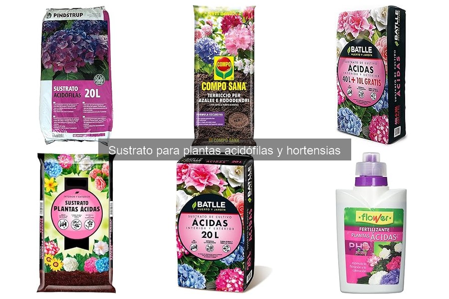 Mejores sustratos para hortensias: variedades y características