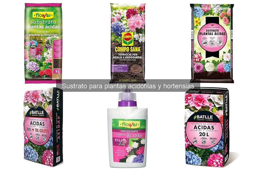 Mejores sustratos para plantas acidófilas en balcones