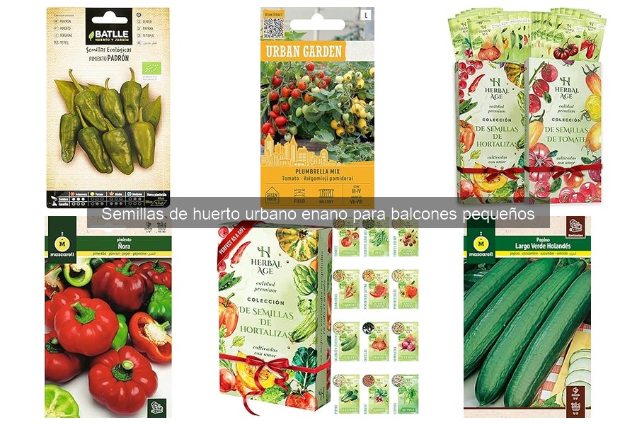 Mejores sustratos para semillas de huerto urbano en balcones