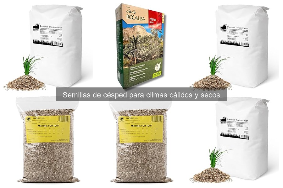 Mejores tiendas para comprar semillas de césped en climas secos