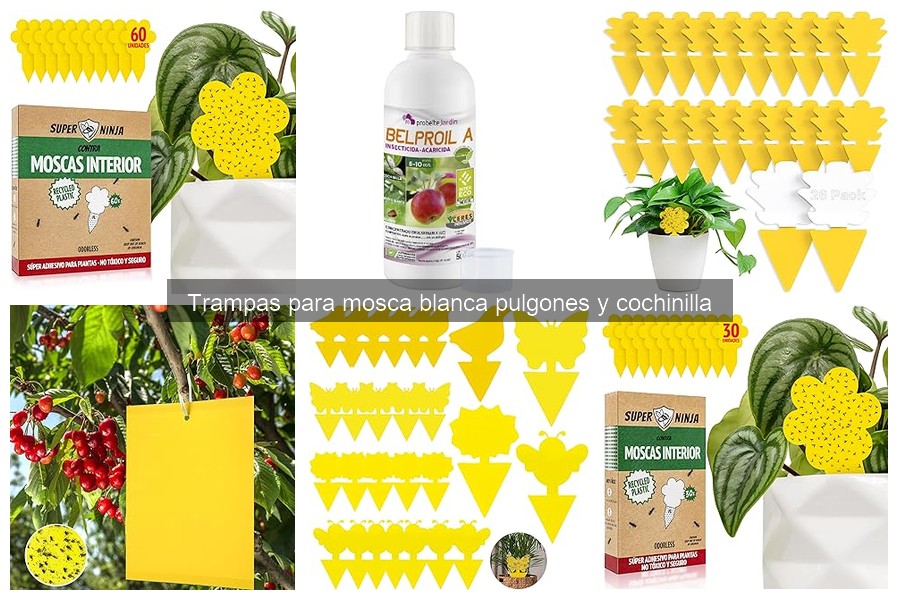 Mejores trampas para mosca blanca en jardines urbanos