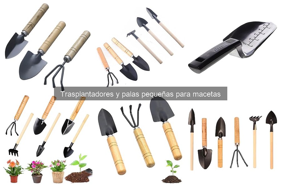 Mejores trasplantadores para principiantes en jardinería