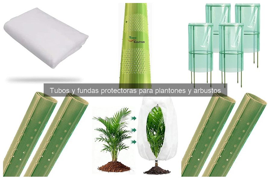 Mejores tubos protectores para plantones: comparativa 2023
