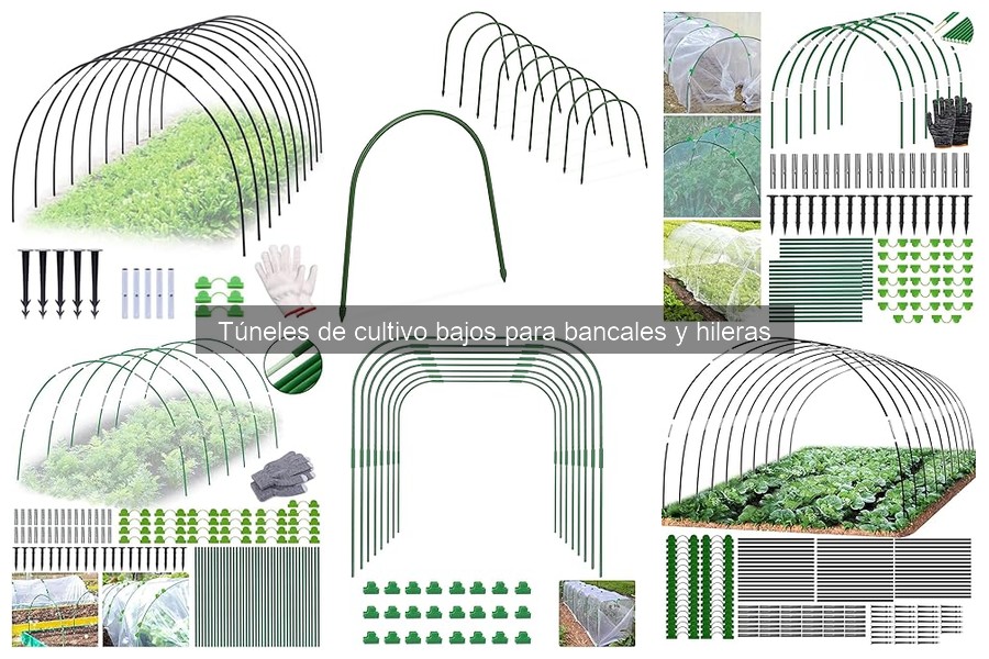 Mejores túneles de cultivo bajos: comparativa de opciones