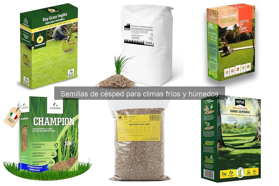 Mejores variedades de semillas de césped para climas fríos