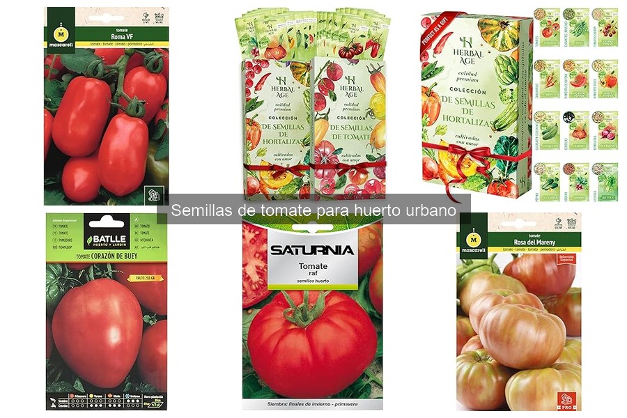Mejores variedades de semillas de tomate para huerto urbano
