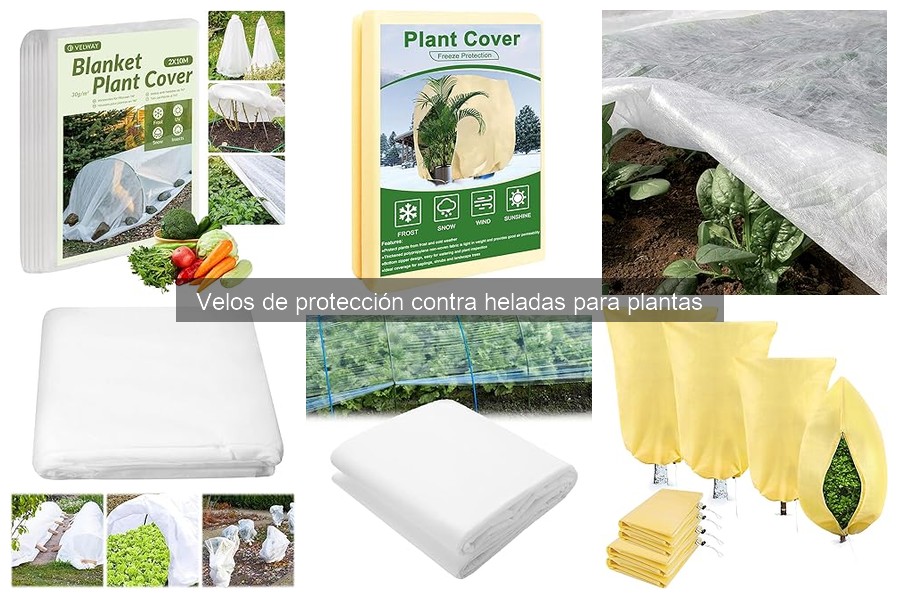 Mejores velos de protección contra heladas para terrazas