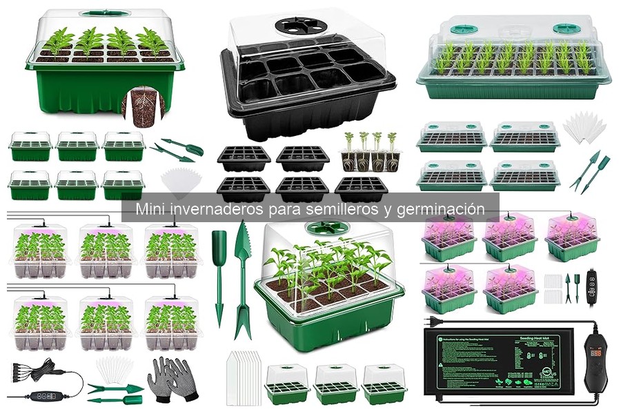 Mini invernaderos para semilleros: características y funciones