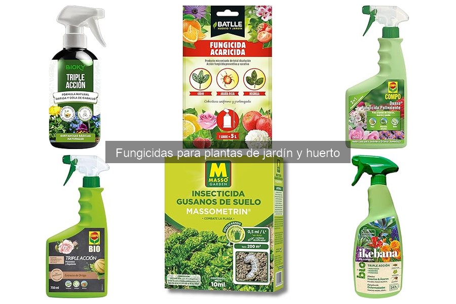 Mitos sobre fungicidas: desmentimos falsas creencias