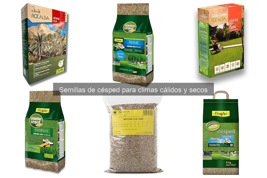 Mitos sobre sembrar césped en climas cálidos desmentidos