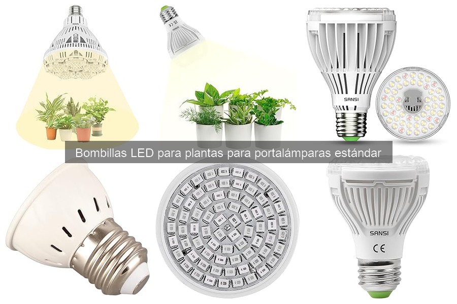 Ofertas en bombillas LED para plantas: ¡Descuentos imperdibles!