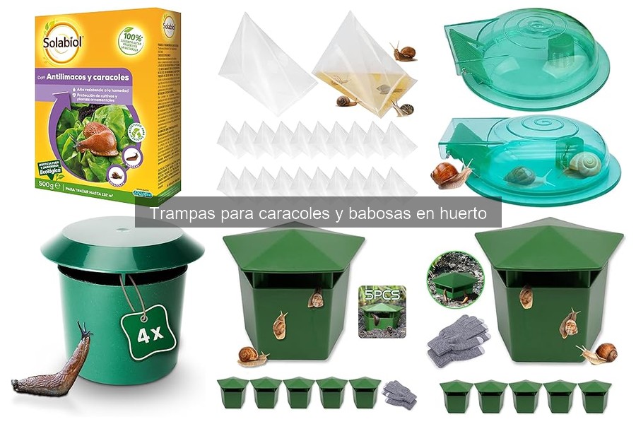 Opiniones sobre trampas para caracoles y babosas en huerto