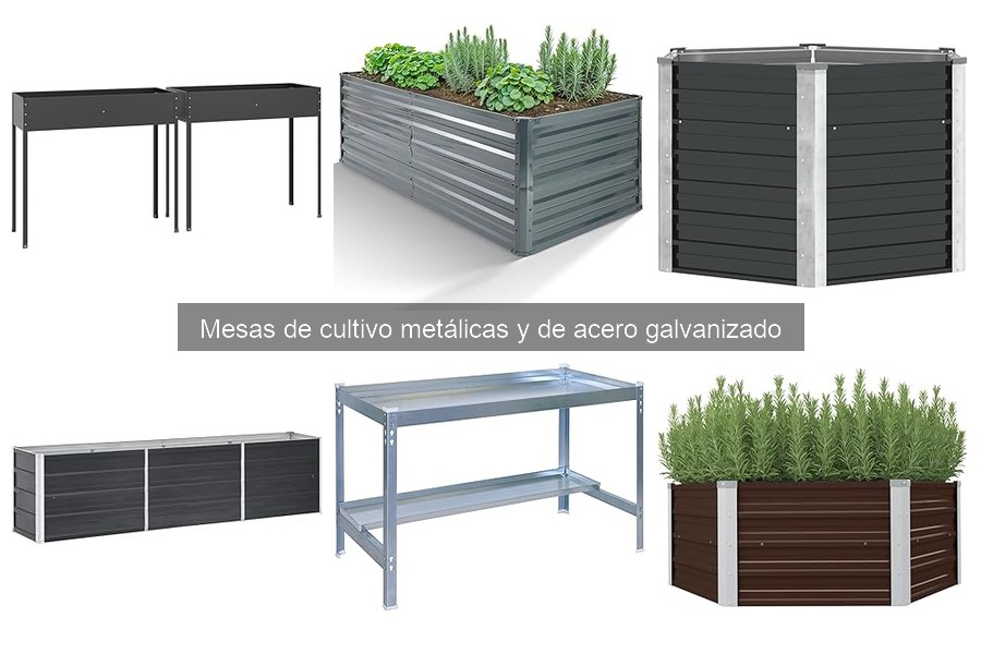 Optimiza tu mesa de cultivo pequeña: consejos y plantas ideales