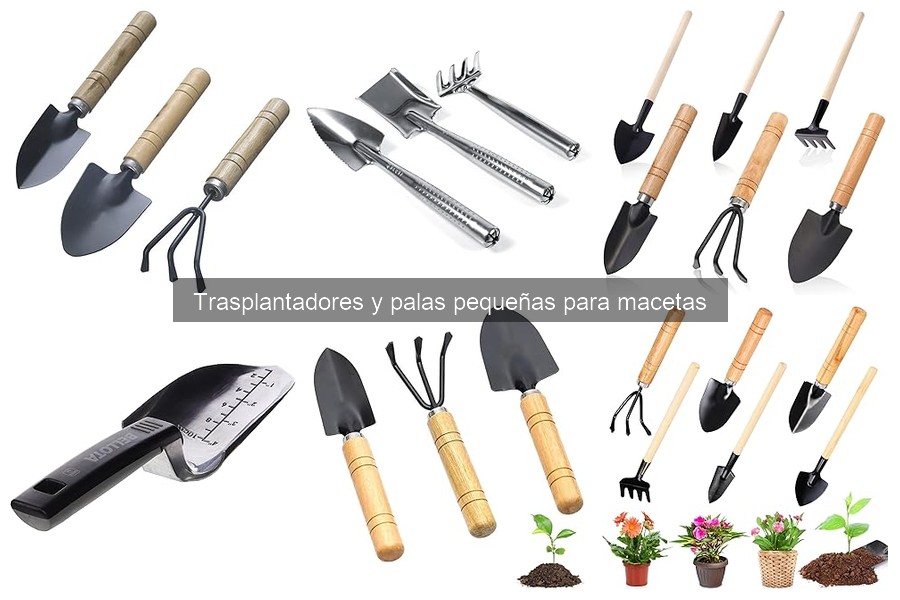 Pasos para usar un trasplantador correctamente en tu jardín