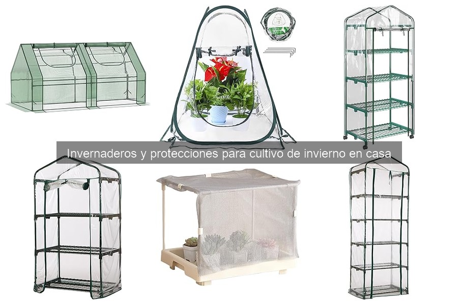 Plantas ideales para cultivar en invierno en invernaderos