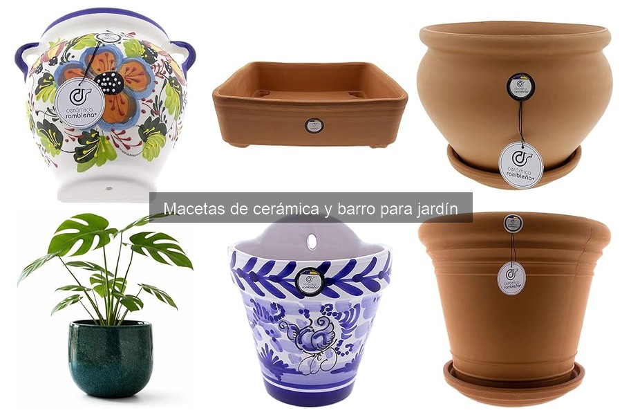 Plantas ideales para macetas de barro: guía completa